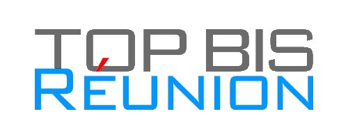 partners/airprocess - partner logo - topbis.webp